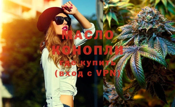 индика Абинск