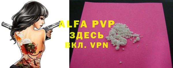 индика Абинск