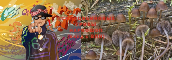 индика Абинск