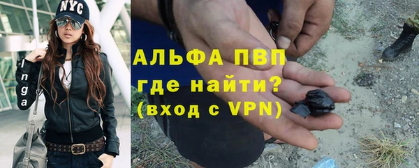 индика Абинск