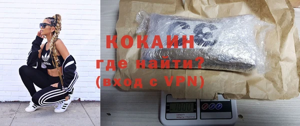 индика Абинск