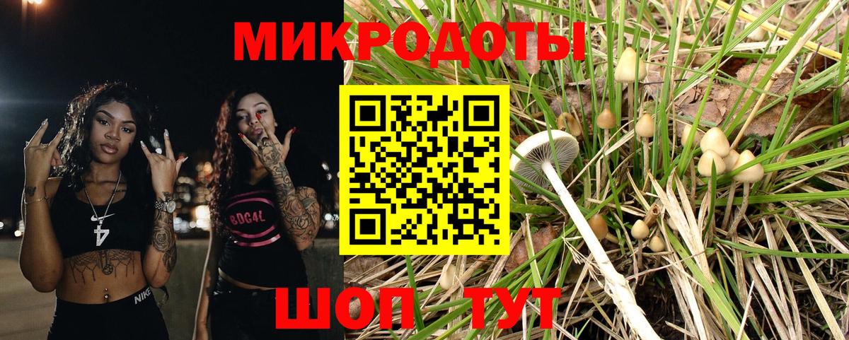 купить наркотик  Галлюциногенные грибы Cubensis  Вход с VPN  Воронеж 