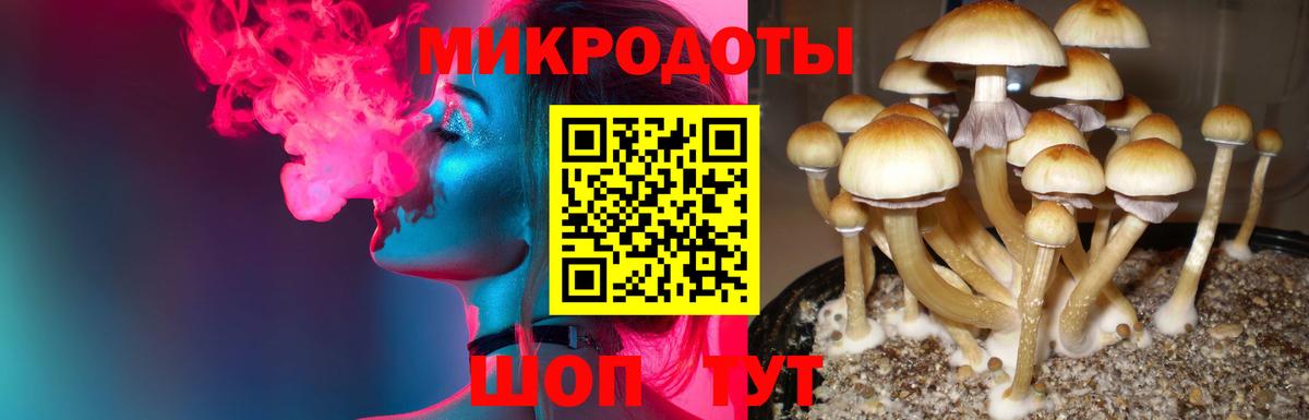 Галлюциногенные грибы мухоморы Воронеж